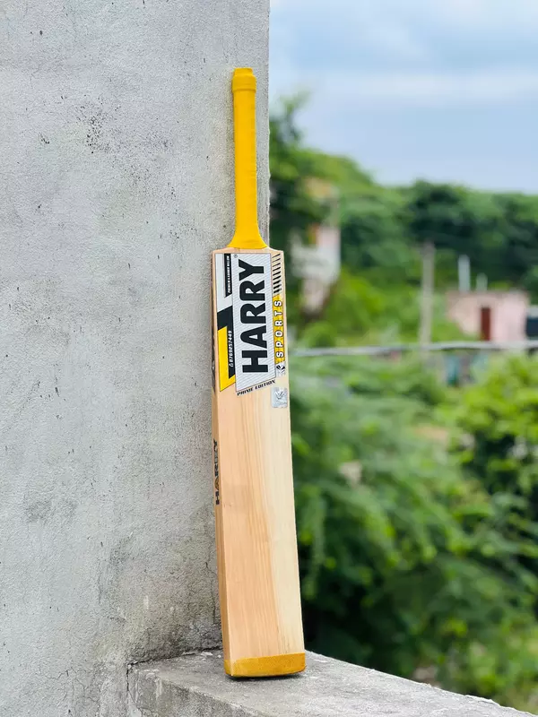 The Game Changer Bat For Hard Tennis @ HARRY-SPORTS